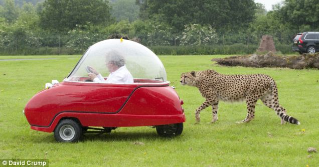 Ӣ���οͼ����ݳ����Ա�Ϯ��