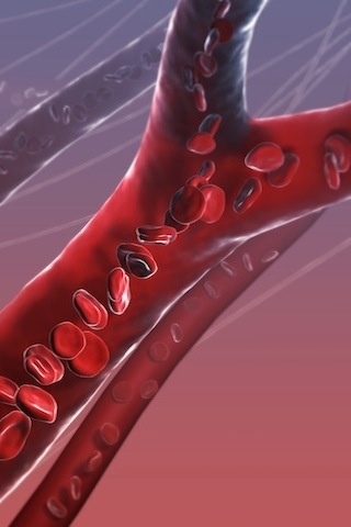 ��̾��ҽѧ3D������ͼ ��������ͼ