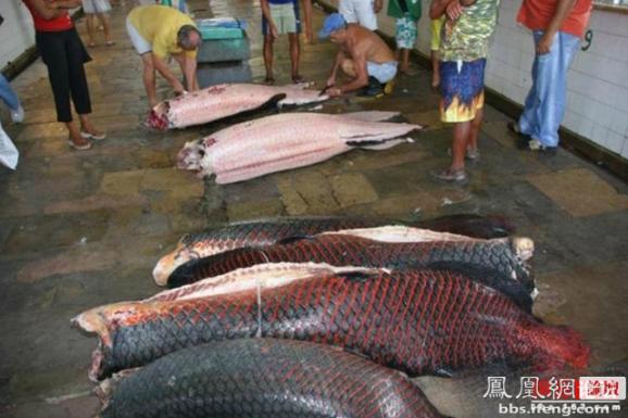 �����𾪵ľ������� �����������Ȥͼ��