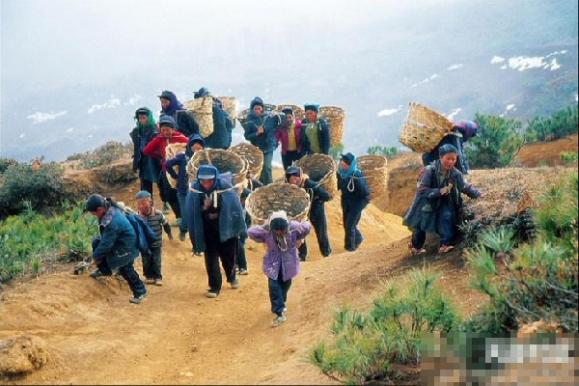 ����ͼ����ȥ��Ҫ���� ������