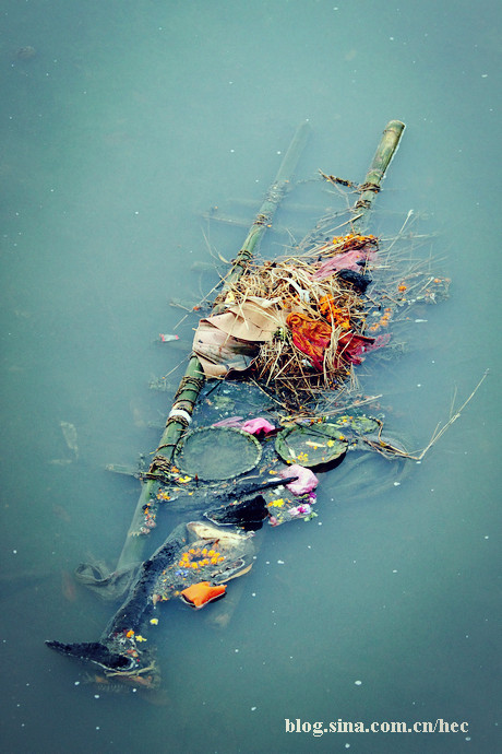 �Ჴ�����˿ֲ��Ļ��ᡪ��������