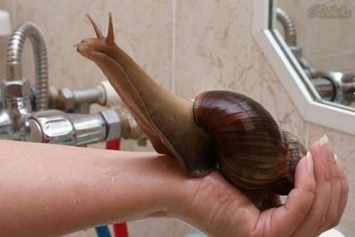 �����������˲���׽�� ��ЦͼƬЦ����