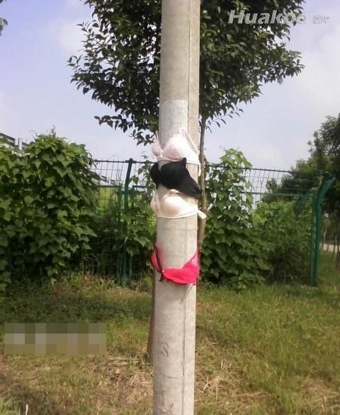 ��ͼ���˿�Ц��ֹ�� ��Ц��ͼ