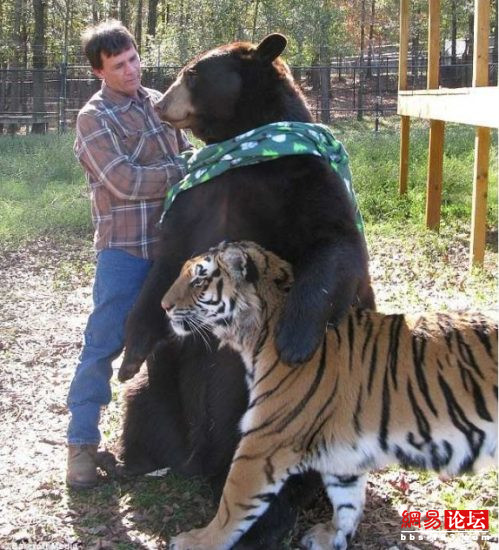 �̵㲻������ı�Ц���� ��Ц��ͼ