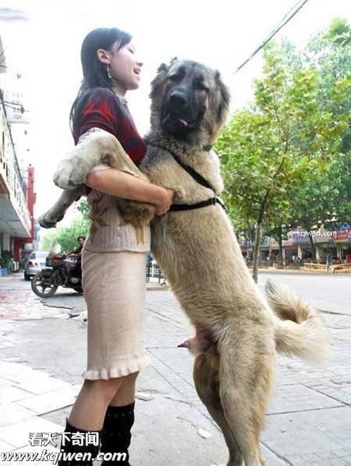 ��ɫ������ɧ��˲��