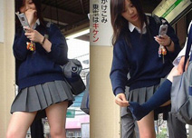 �̵���Ů���ֲ�����̬��Ϊ ��������(��ͼ62P)