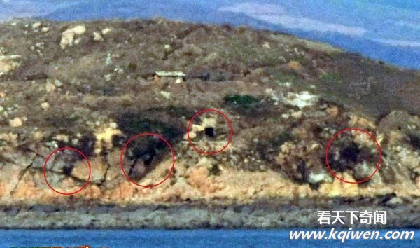 ���������໥�ڻ�¼���ع� ����280��ö�ڵ� ����������߾���